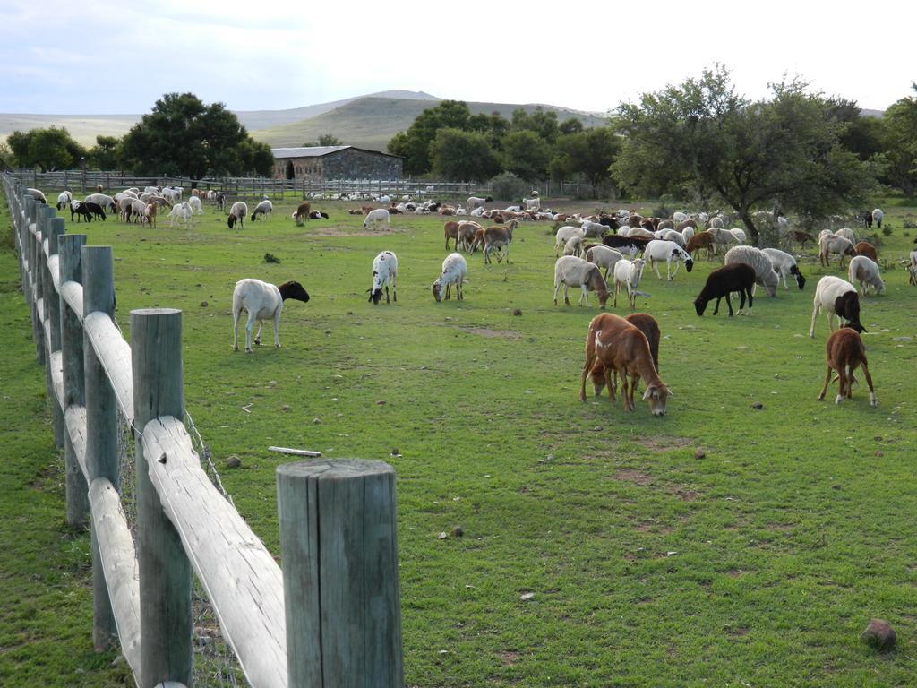 Waterval Farmstay Graaff-Reinet Exterior foto